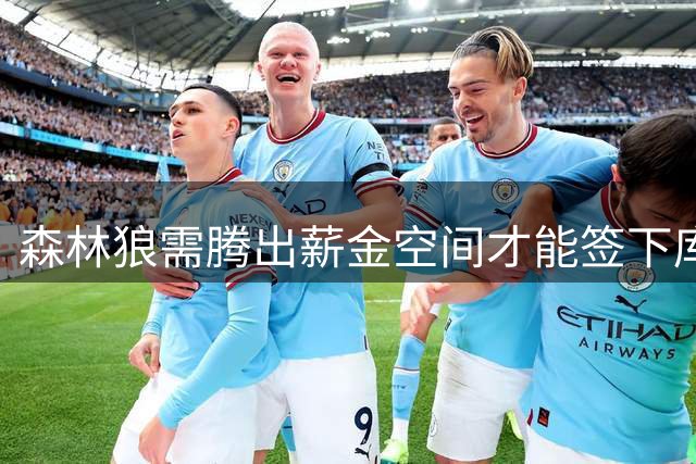 森林狼需腾出薪金空间才能签下库明加